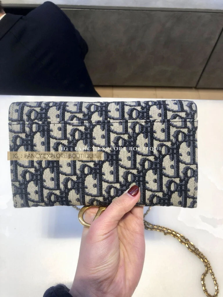 Dior woc mini hot sale